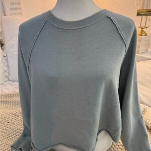 Aerie Light green cropped Knit Top